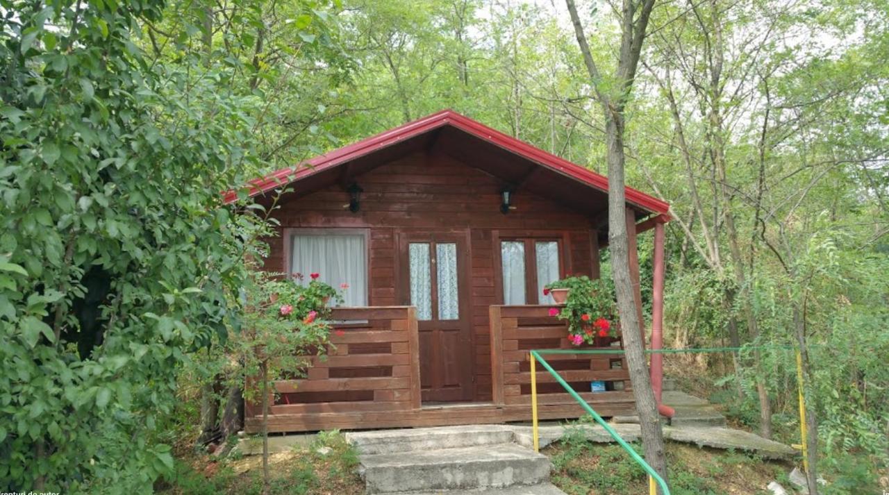 Gratca Nr 164 Orsova Villa Exteriör bild