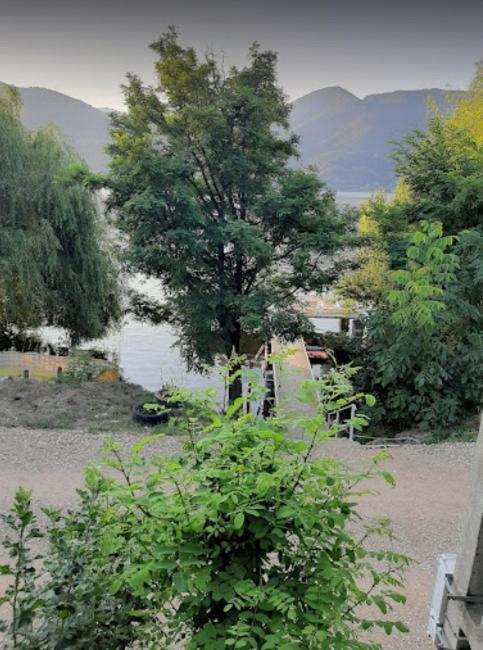 Gratca Nr 164 Orsova Villa Exteriör bild